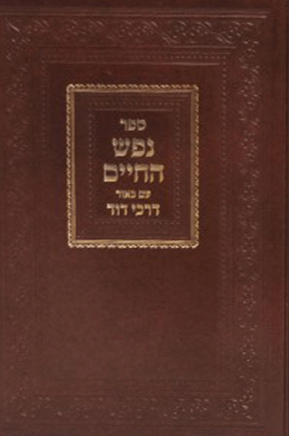 נפש החיים עם ביאור דרכי דוד Nefesh Hachaim 2 Vol. (BK-NHDD)