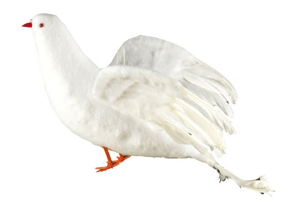 12" White Dove (L100039)