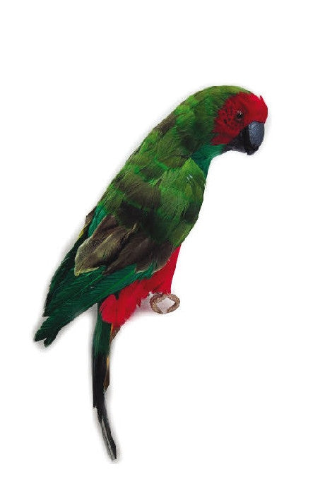 Large Parrot 21" (L100106)