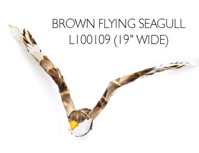 Brown Flying Seagull - 19" wide (L100109)