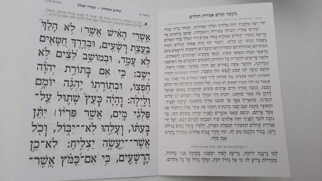 Tehillim Mechulak 28 Booklets Hebrew תהילים המחולק עבודה שבלב (BK-THMASB)
