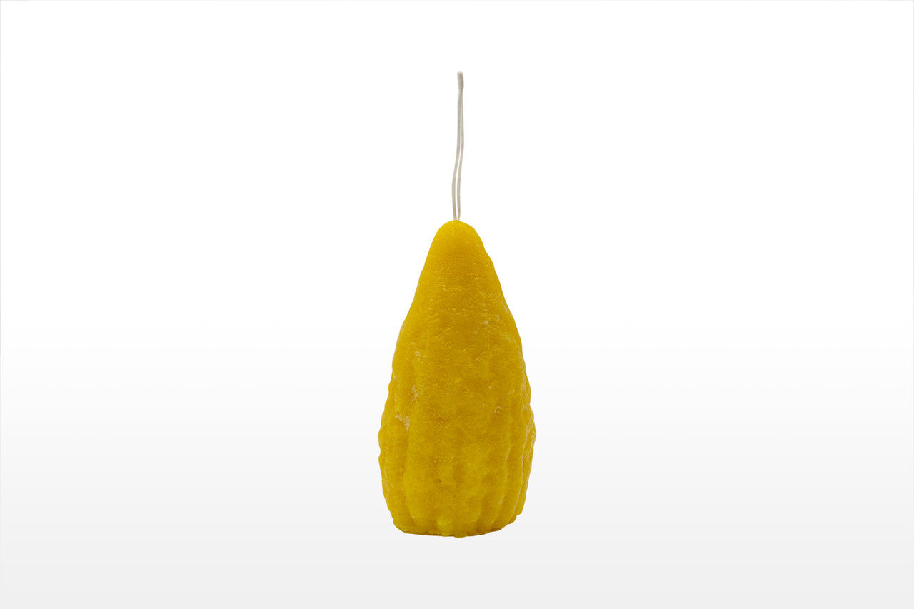 Havdallah Candle Etrog Shape Mini 1.5"x3.5" Jewish Candle (HV-HMC3X6JCS)
