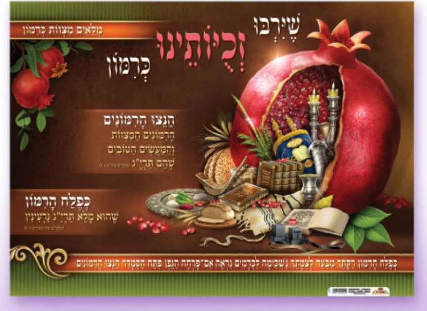 Laminated Poster 20" x 28"-- Rimon (P1914)