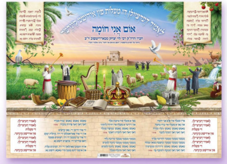 Laminated Poster 20" x 28"-- Rimon (P1920)