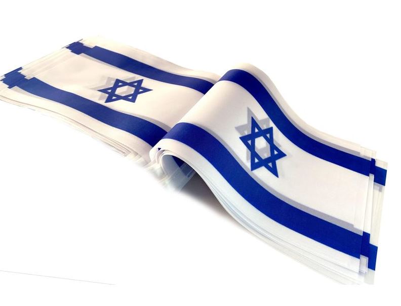 Israeli Flag Plastic Banner - 11' (I-FBNP8)