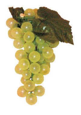 7" - 56 Grapes (200121)