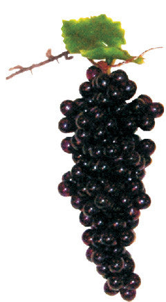 7" grapes cluster (200124)