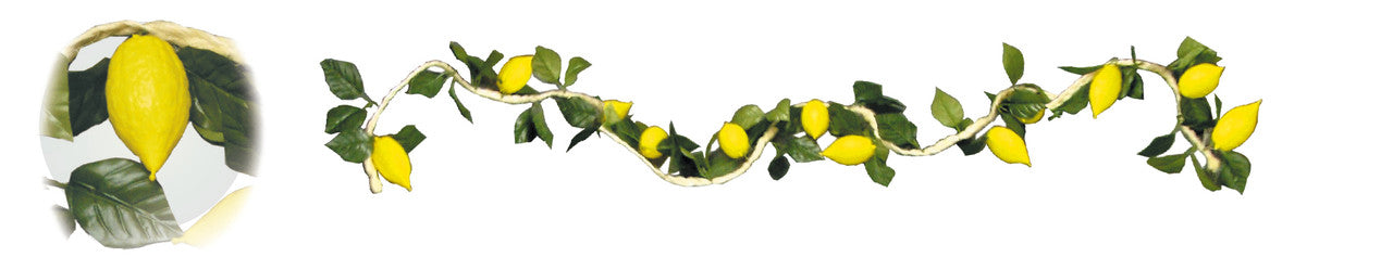 9' Esrog Rope Garland - 13 Esrogim (200207)