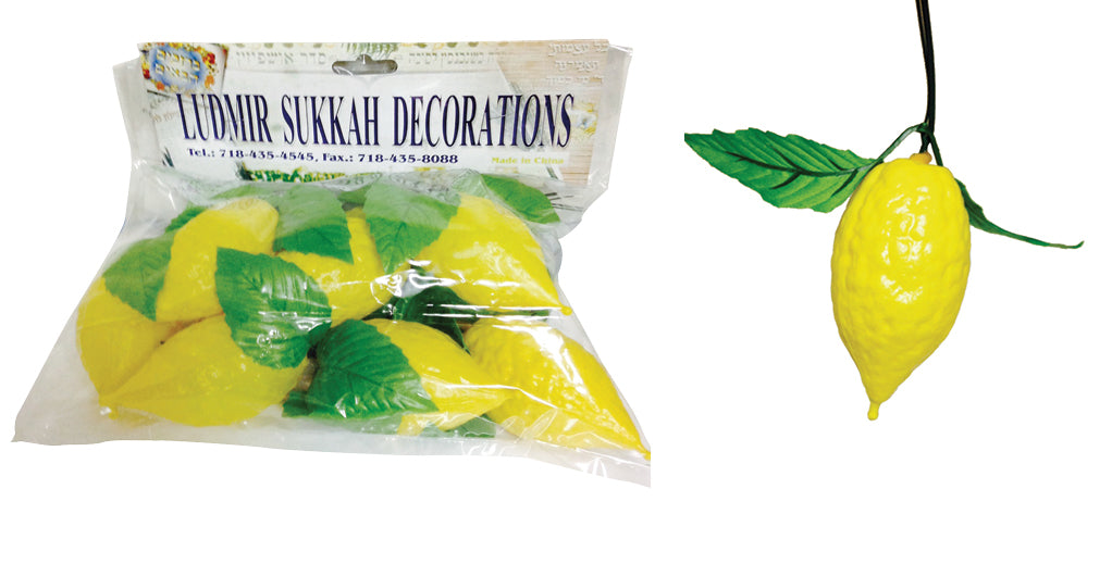 Esrogim: 10-pack (200313)