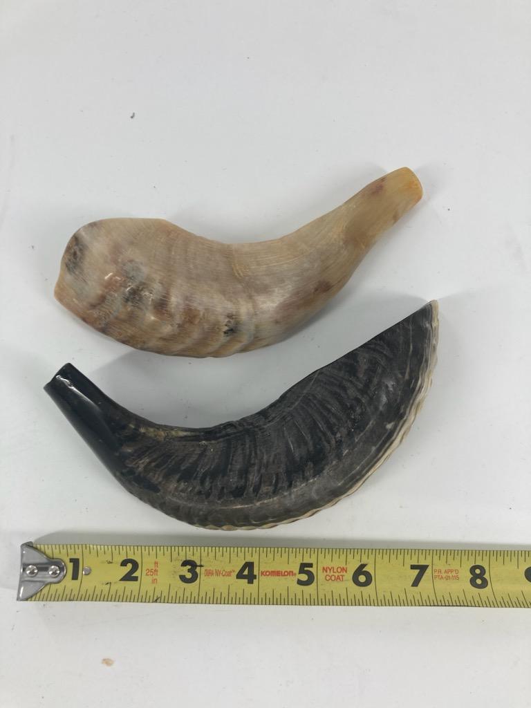 Shofar (Ram Horn) Select Size (SH-SH)
