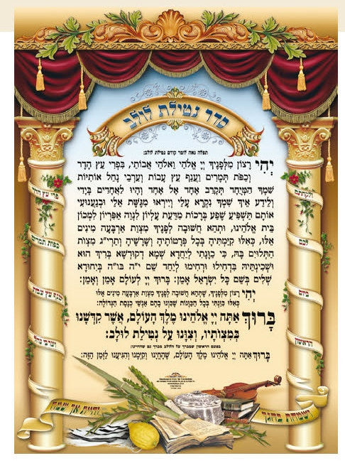 Laminated Poster 20" x 28"-- Netilat Lulav (P424)
