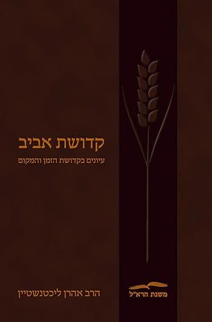 קדושת אביב (Hebrew Edition) (BK-KDA)