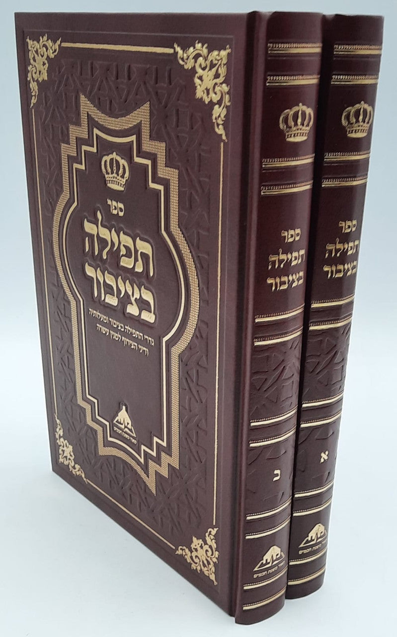 ספר תפילה בציבור ב' כרכים (BK-TBTZ)