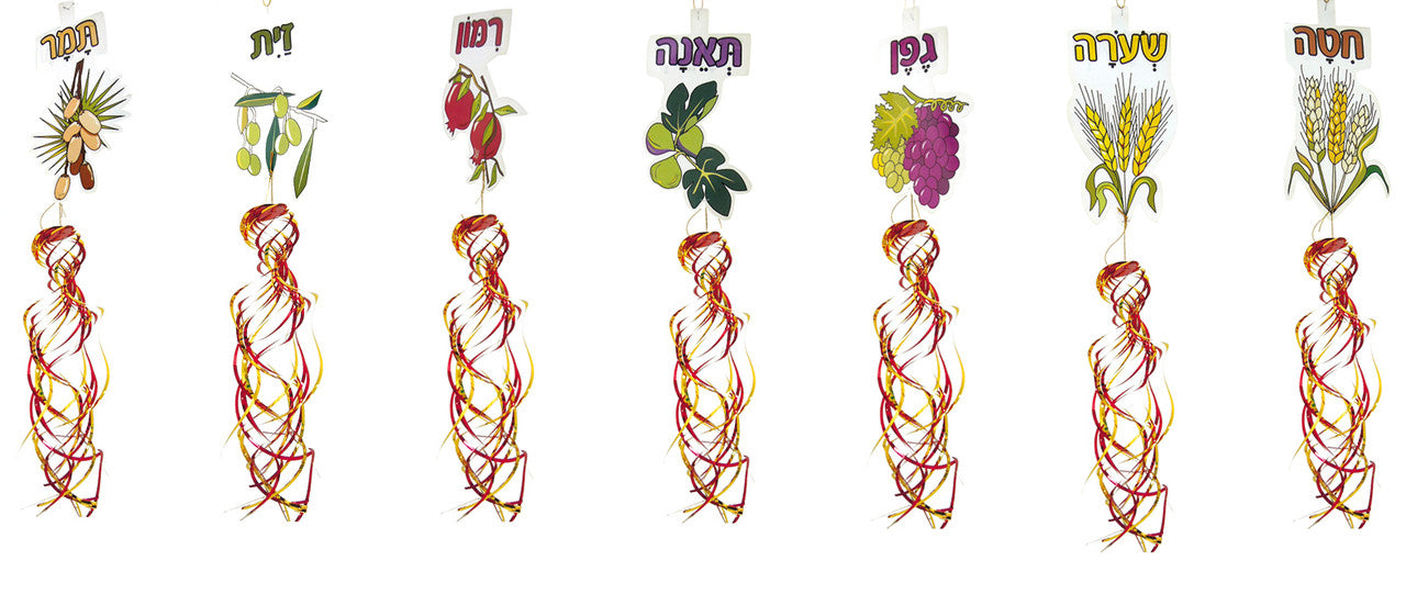 Set of Shivat HaMinim - Pack of 12 (71402)