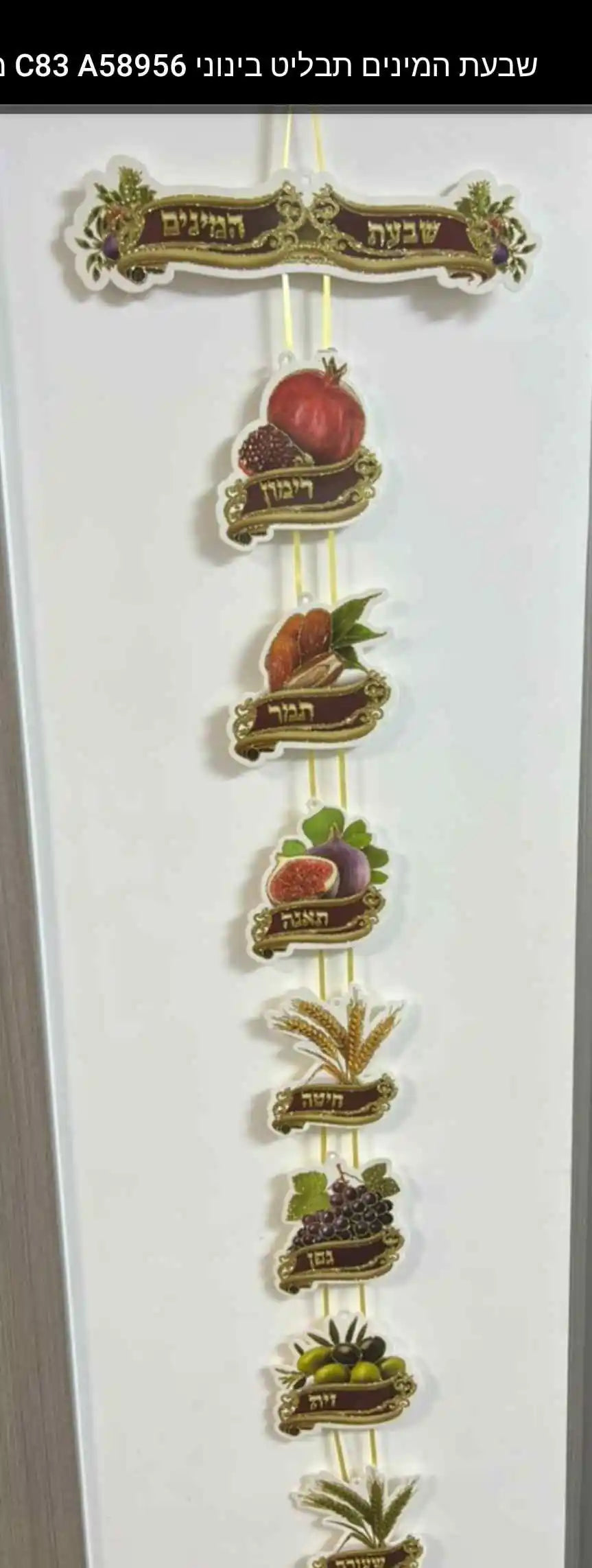 DIY Shivas Haminim Mobile (A58956)