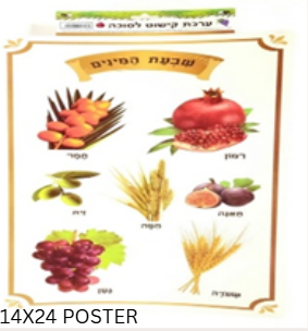 Plastic Shivas Haminim Poster-- 14x24 (PL-801746)