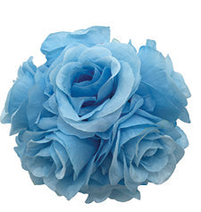 4" Rose Ball, Multiple Colors - Pack of 12 (CLA-20160218)