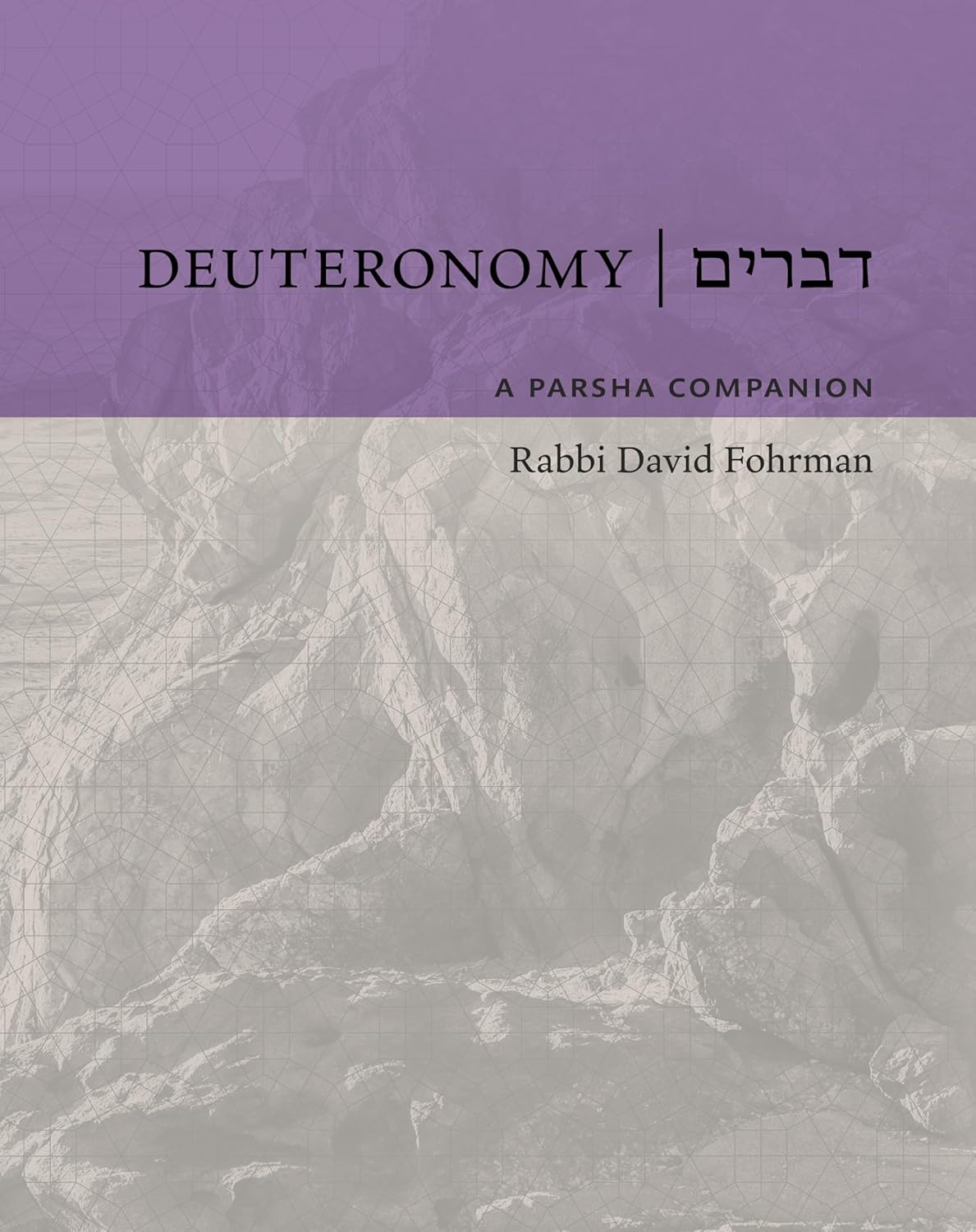 Deuteronomy: A Parsha Companion by Rabbi David Fohrman (BKE-DAPC)
