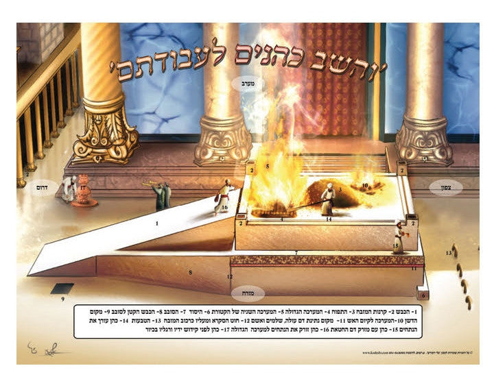 Laminated Poster 20" x 28"-- MizbeAch (P872)