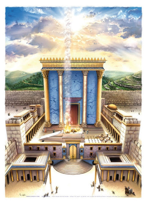 Laminated Poster 20" x 28"-- Bais Hamikdash (P873)
