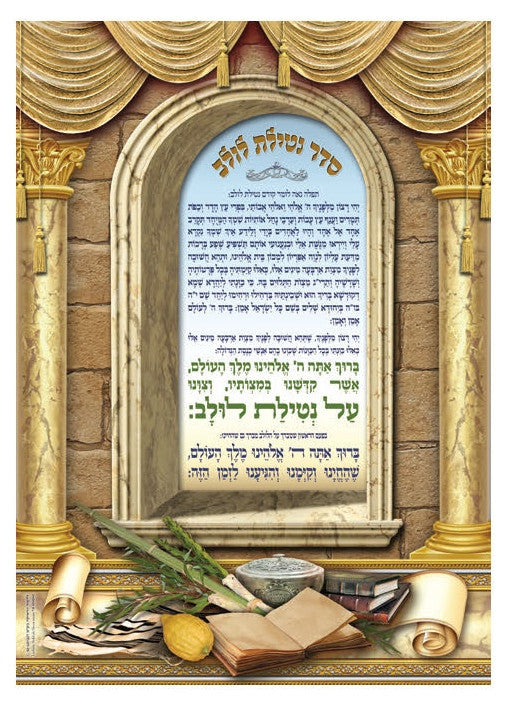 Laminated Poster 20" x 28"-- Netilat Lulav (P875)