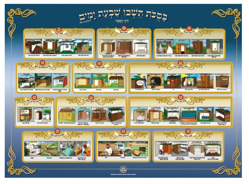 Laminated Poster 20" x 28"-- Hilchot Sukkah (P879)