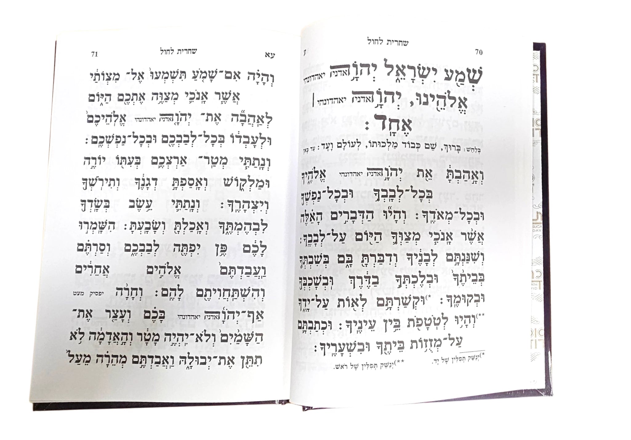 Siddur Succas Dovid Tashbar Sephardic סידור סוכת דוד תשב"ר (BK-SSDTS)
