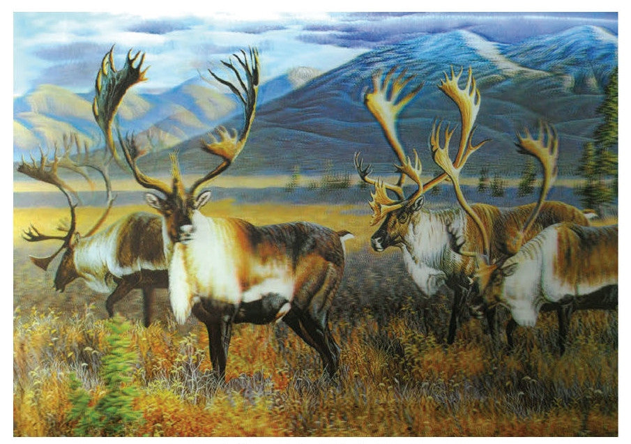 4D Poster 20" x 28"-- Deer (P98776)