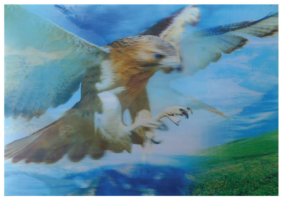 4D Poster 20" x 28"-- Eagle (P98782)