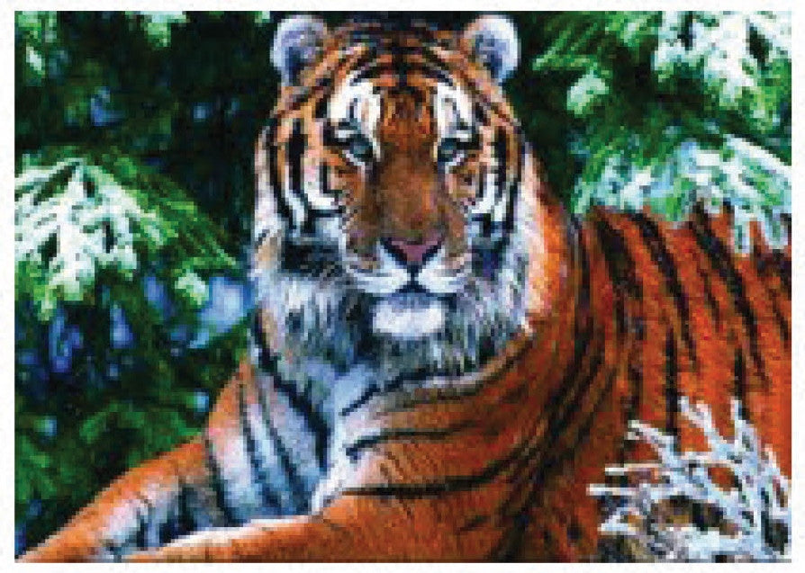 4D Poster 20" x 28"-- Tiger (P98900)