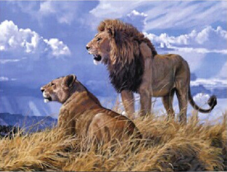 4D Poster 20" x 28"-- Lions (P98902)