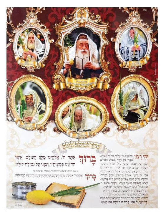 Laminated Poster 20" x 28"-- Vishnitz (P995)