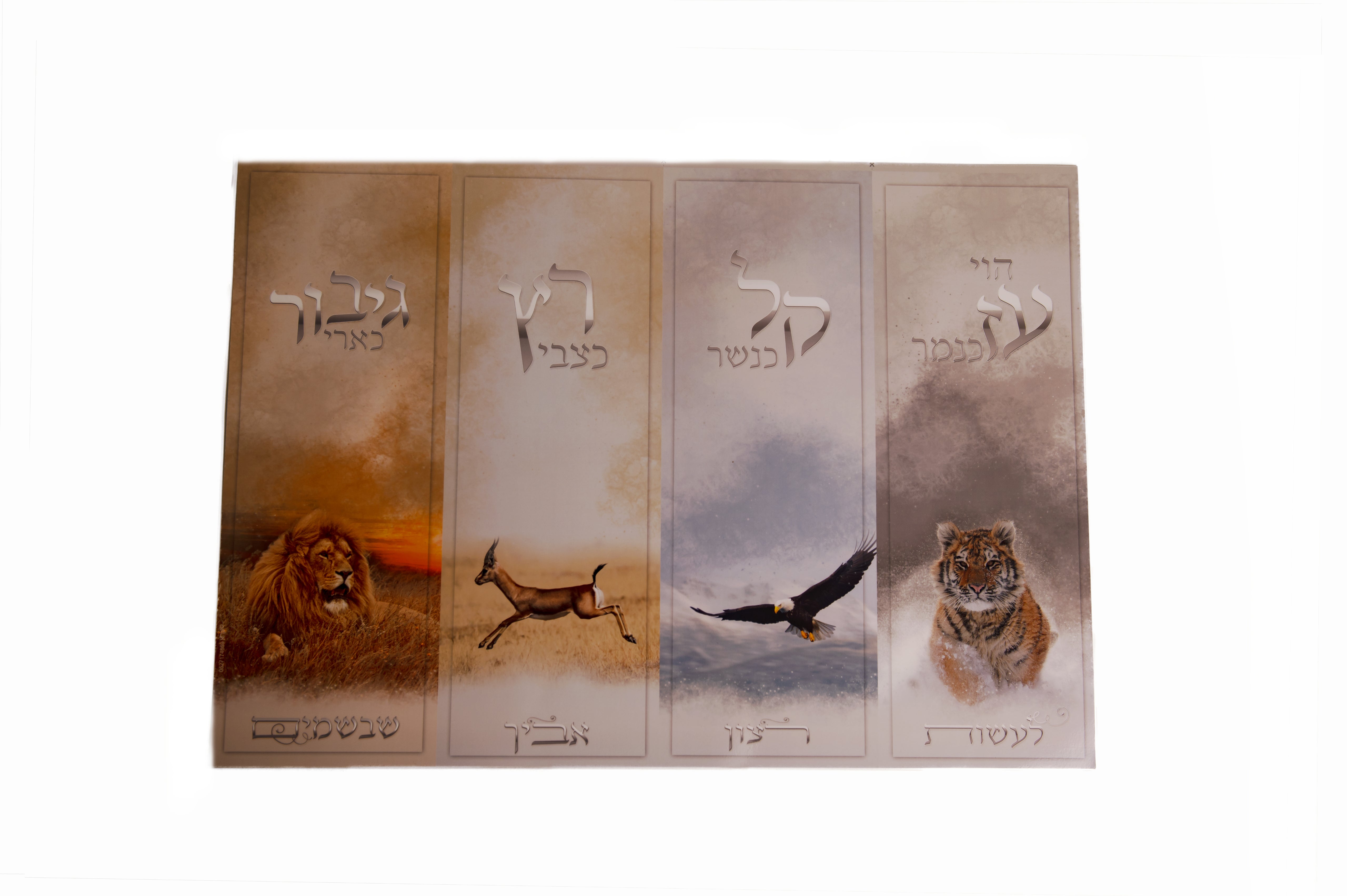 Laminated Poster 20" x 28"-- (P890)