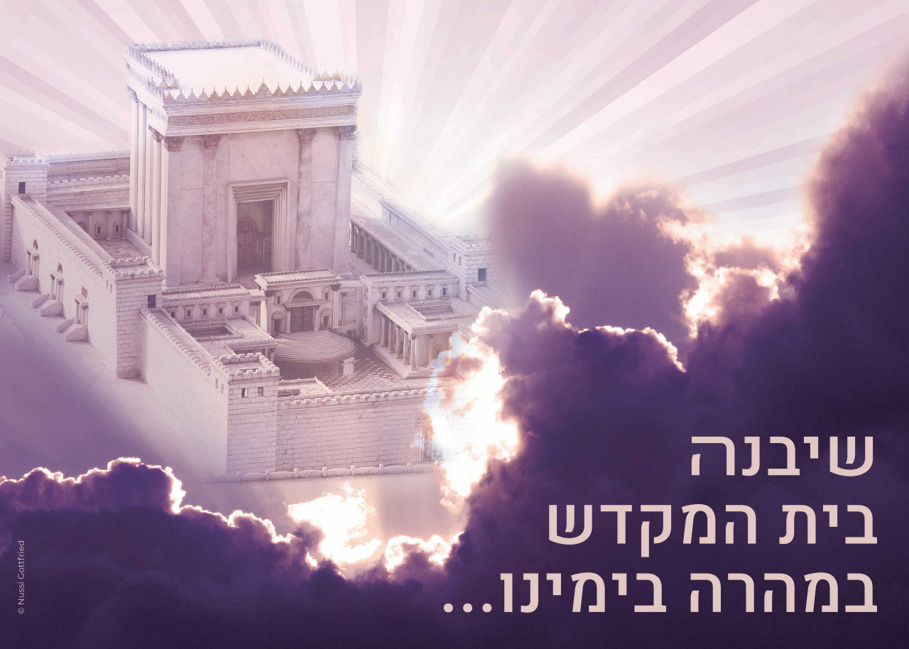 Laminated Poster 20" x 28"-- Beis Hamikdash (P910)