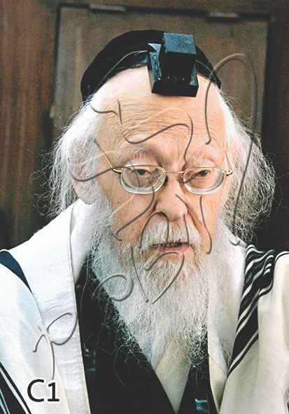 Rav Elyashiv 12" x 16" Framed Canvas (J10C21S)
