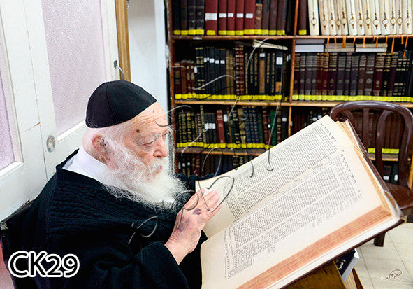 Rav Chaim Learning-Side View 17" x 23" - Frame (J10CK29MD)