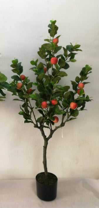 Apple Tree - Small Apples