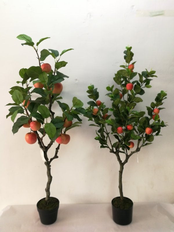 Apple Tree - Big Apples