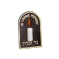 Memorial Plugin Light -Case of 12 (MC-EPI)