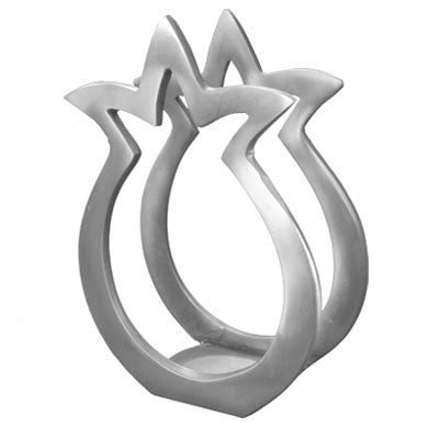 Aluminum Napkin Holder Pomegranate Shape (EM-NHM1)