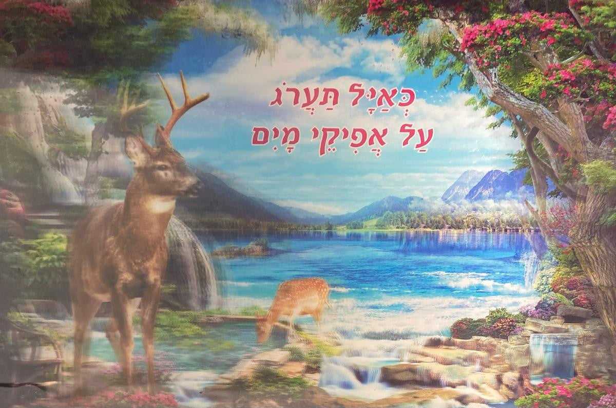 4D Poster-Water- Deer Keayal Taarog (P506223)