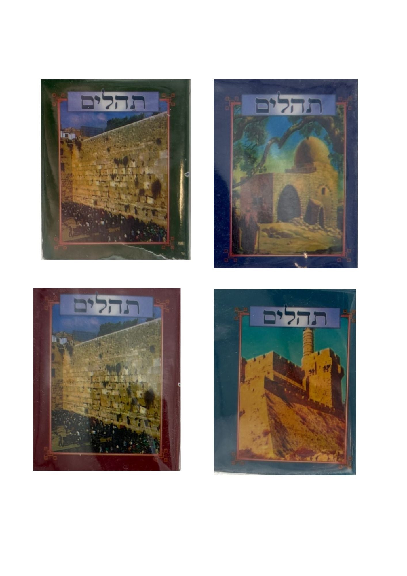 Tehillim Small-Soft Cover-In Bag (BK-THS)