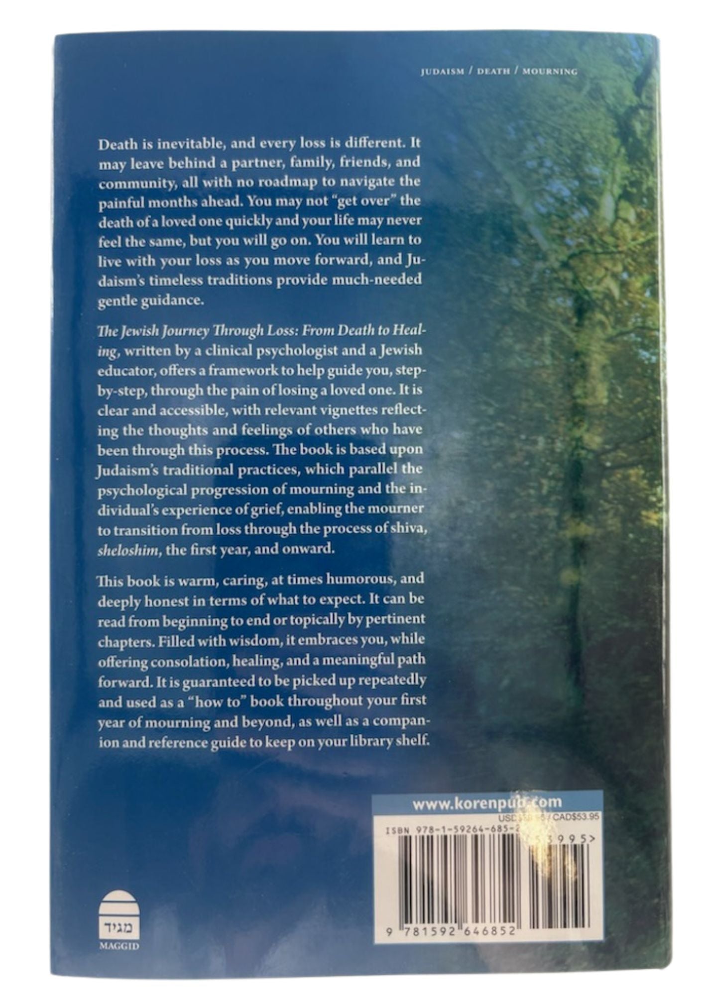 The Jewish Journey Through Loss,From Death to Healing,Ludman,Junger (BKE-TJJTL)