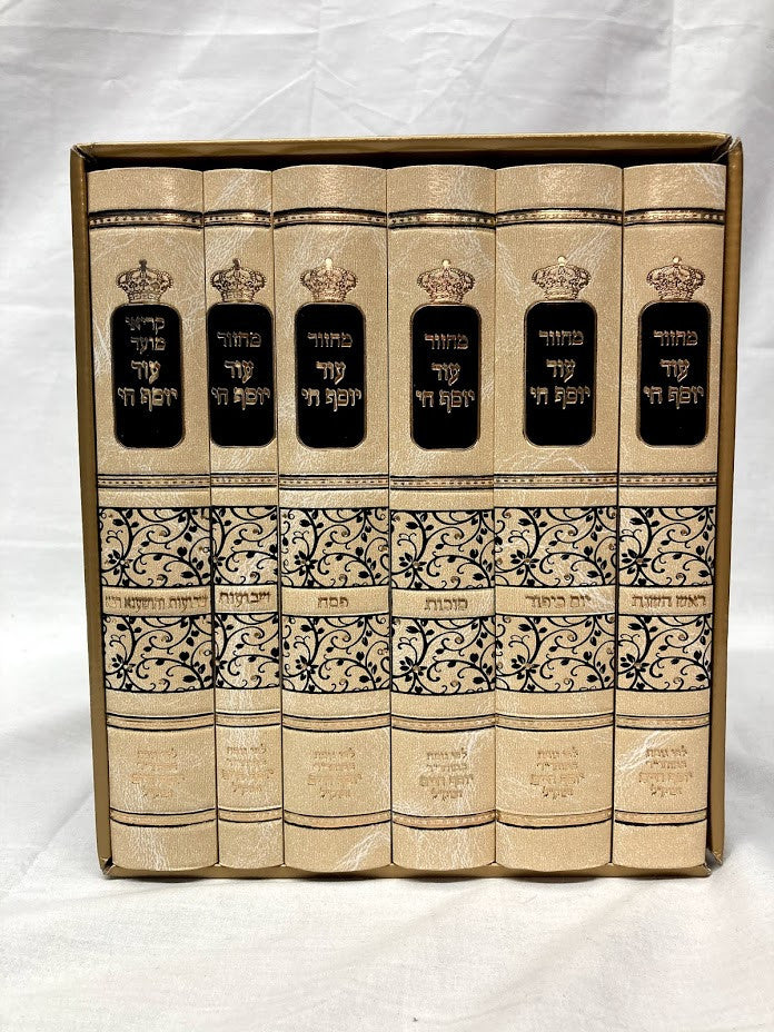 מחזור עוד יוסף חי גדול Set 6 Volume (BK-MOYCLG)
