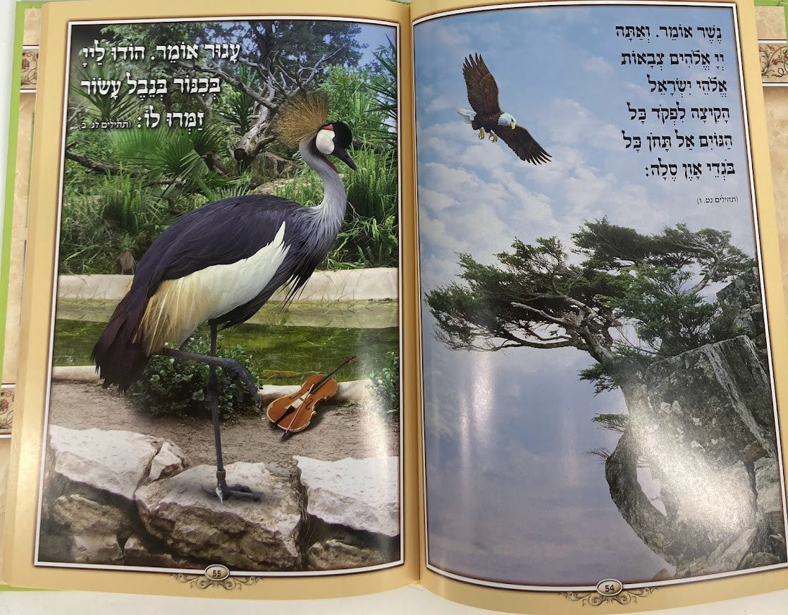 Perek Shira With Tehillim-Malchus 12 X 8.5 (BK-THPS)