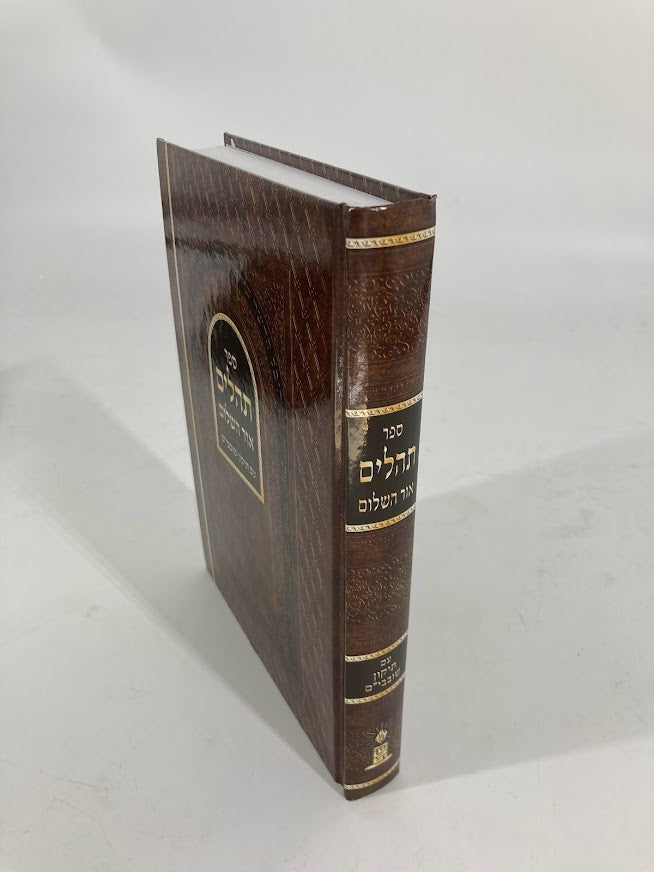 Tehillim Or Hashalom Hebrew תהילים אור השלום Large Letters 7"x9.5" (BK-THOHLG)