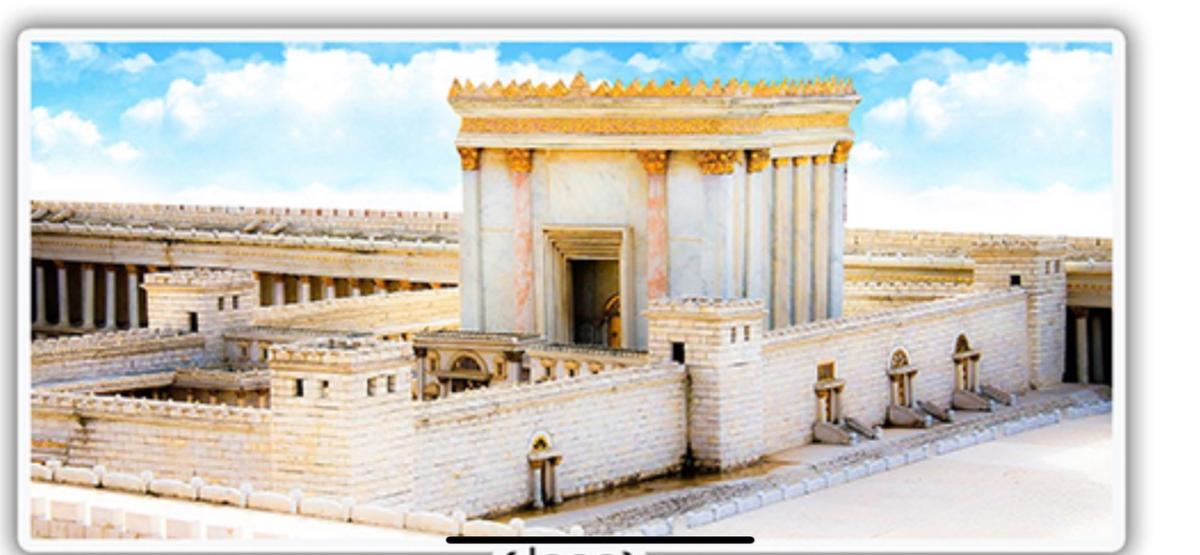 Beis Hamikdash 20" x 40" - Frame (J889)