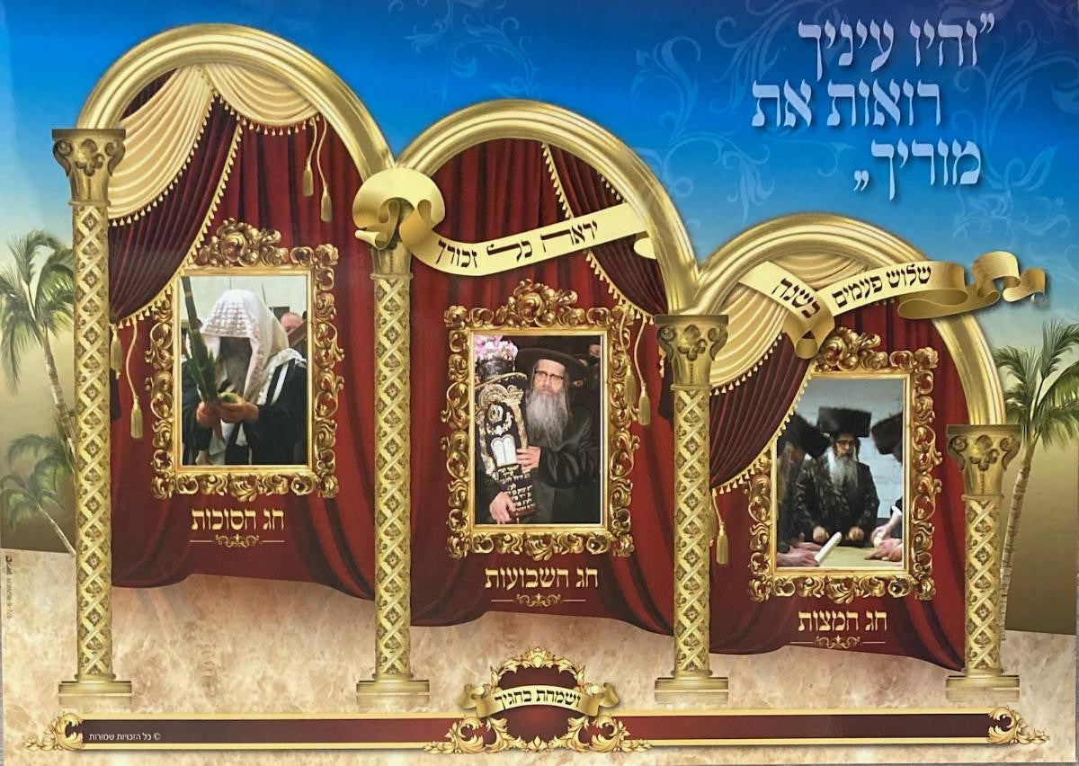 Laminated Poster 20" x 28"-- Satmar Williamsburg (P893)