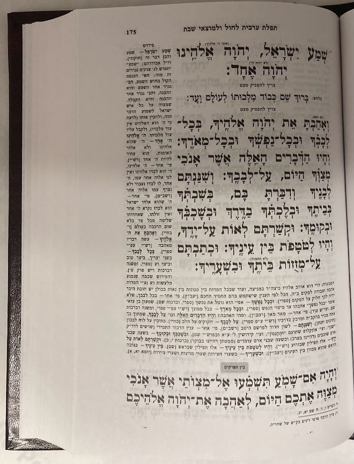 סידור תפילת יוסף -פסקי מ"ב אשכנז (קטן) Small 5"x7"(BK-STYASM)