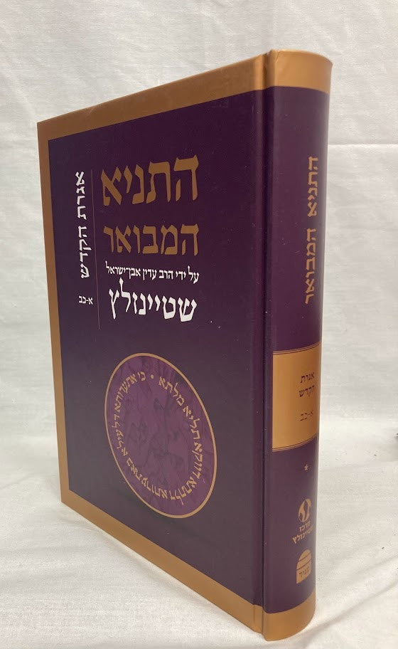 Hatanya Hamevuar Vol. 4 Hebrew Steinzaltz (BK-HTHMV4)